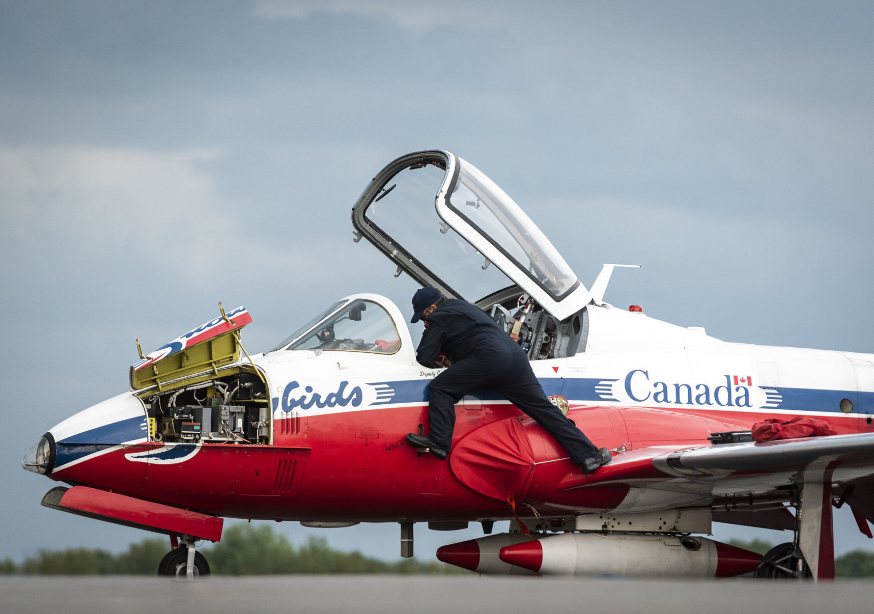 Snowbirds